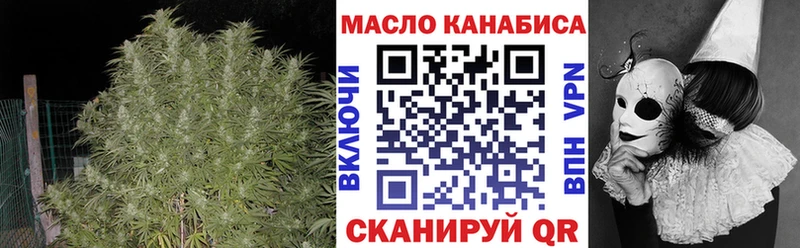 ТГК концентрат Назрань