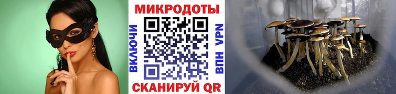 Галлюциногенные грибы прущие грибы  Назрань 