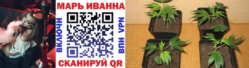 Бошки Шишки OG Kush  купить закладку  Назрань 